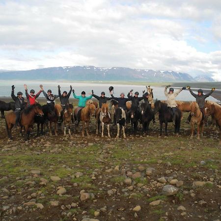 Icelandhorsetours - Helluland Saudarkrokur Zewnętrze zdjęcie