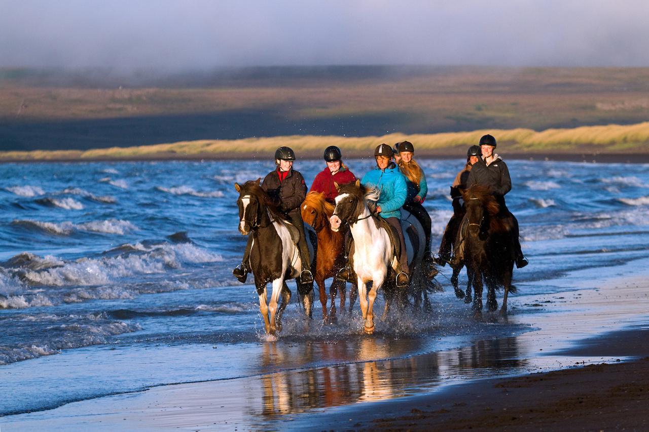 Icelandhorsetours - Helluland Saudarkrokur Zewnętrze zdjęcie