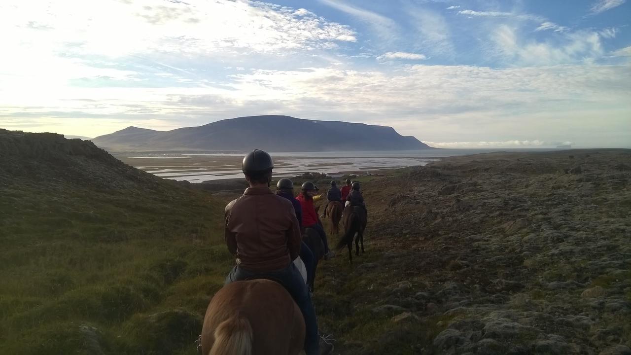 Icelandhorsetours - Helluland Saudarkrokur Zewnętrze zdjęcie