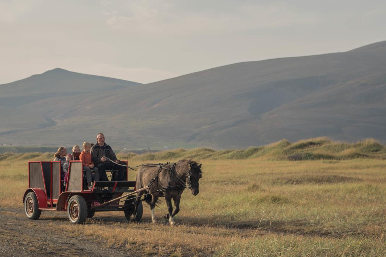 Icelandhorsetours - Helluland Saudarkrokur Zewnętrze zdjęcie