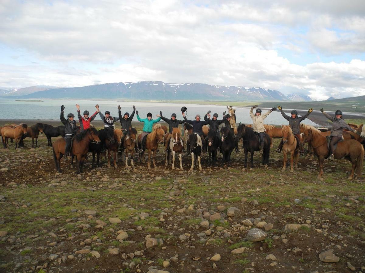 Icelandhorsetours - Helluland Saudarkrokur Zewnętrze zdjęcie